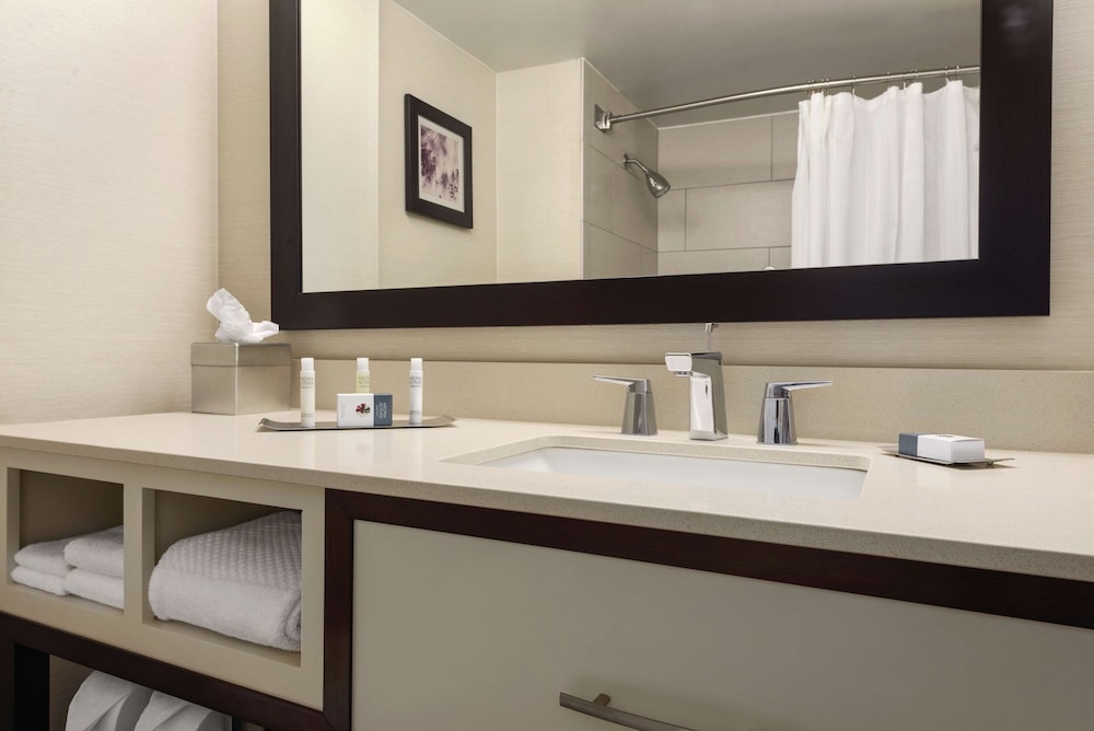 Suite, 1 King Bed - Photo 4
