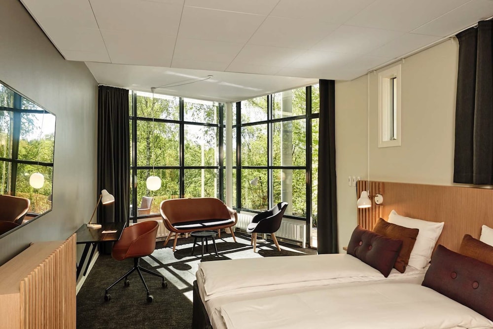 Junior Studio Suite - Photo 7