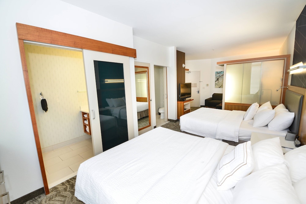 Studio, Multiple Beds - Photo 4