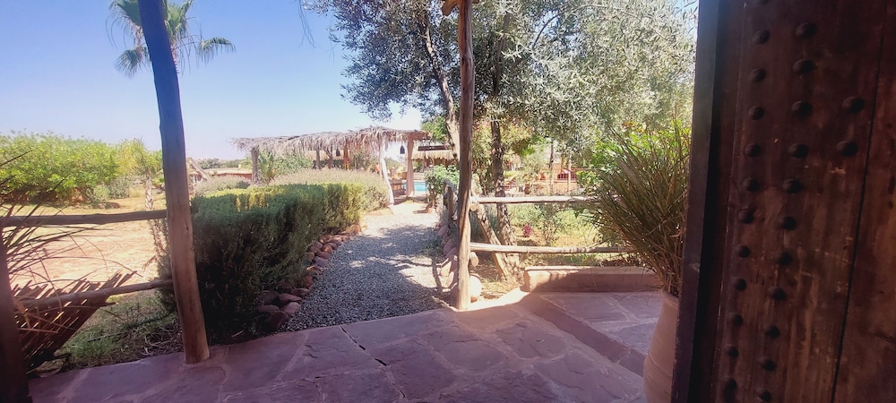 Standard House - Photo 5