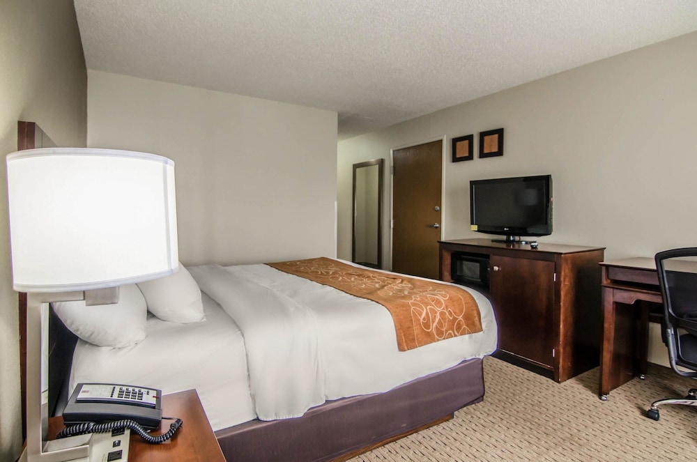 Suite, 1 King Bed, Non Smoking - Photo 10