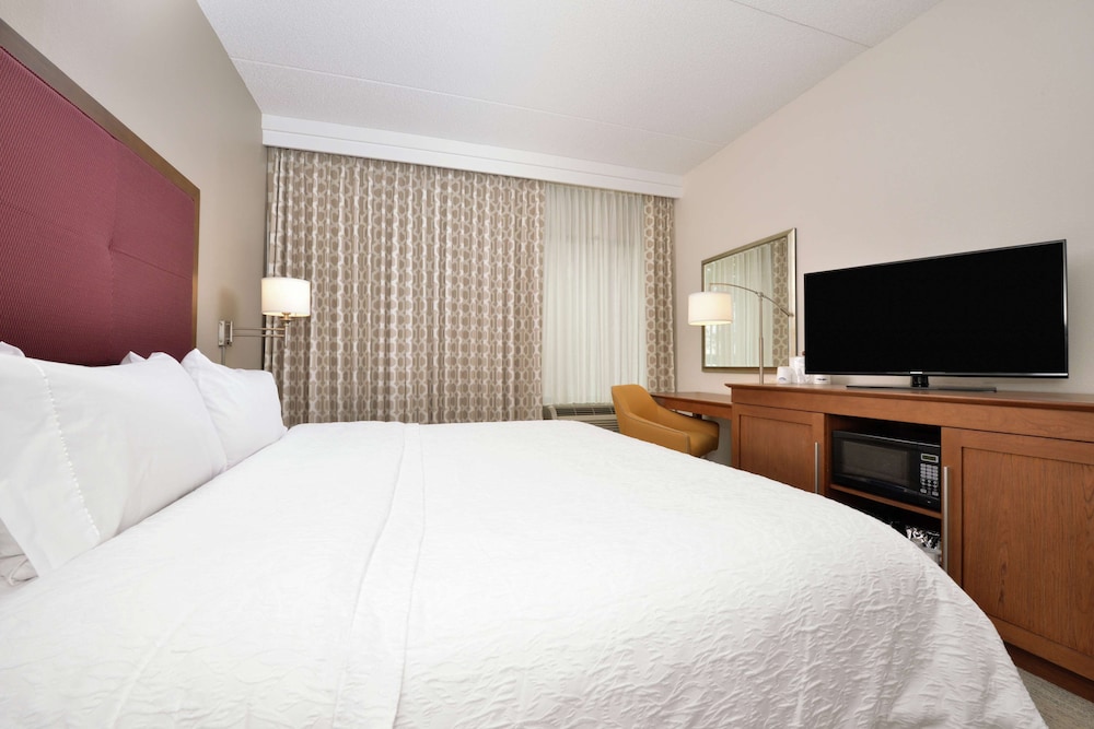Room, 1 King Bed, Accessible, Bathtub (Mobility & Hearing) - Photo 1