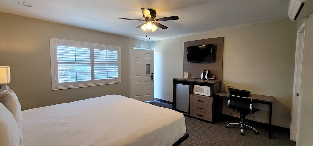 Deluxe Single Room, 1 King Bed photo 1