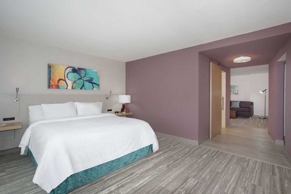 Executive Suite, 1 King Bed, Accessible (Roll-In Shower) photo 2