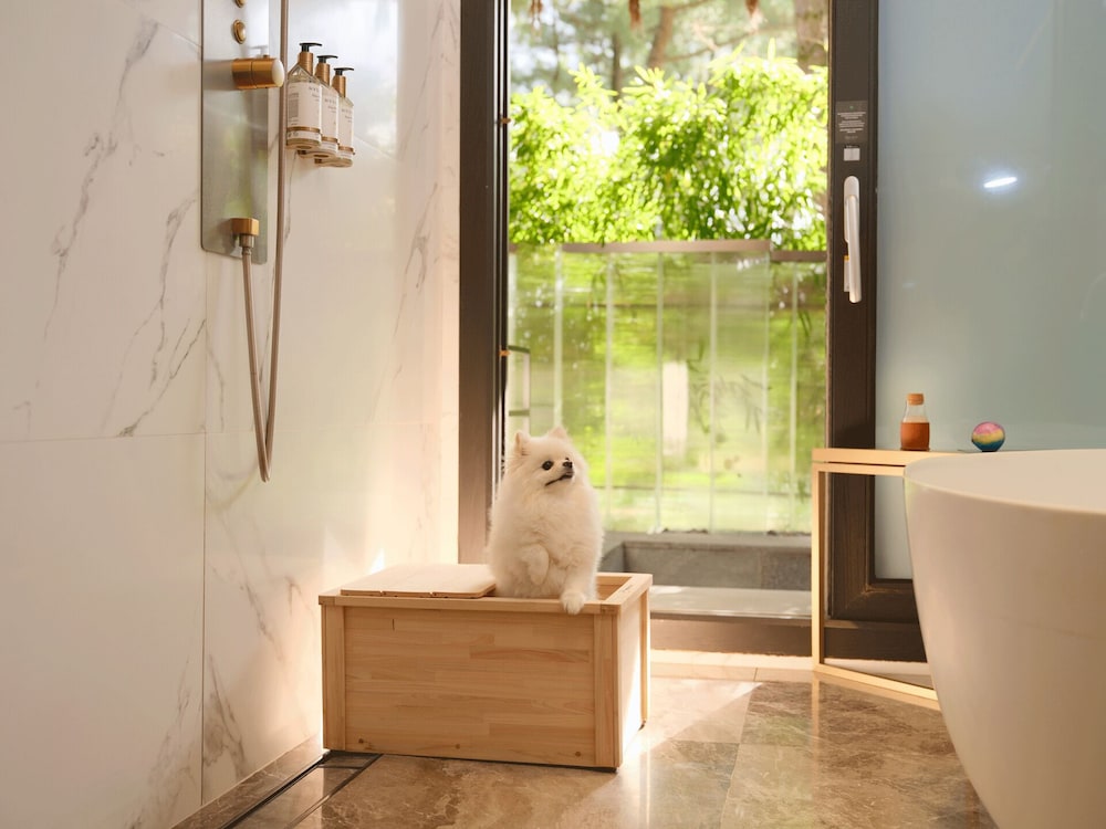 (New Wing) Forest Pet Room - Photo 7