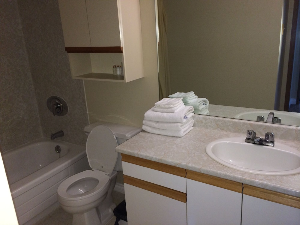 Apartment, 2 Bedrooms, Kitchen, Lake View photo 2