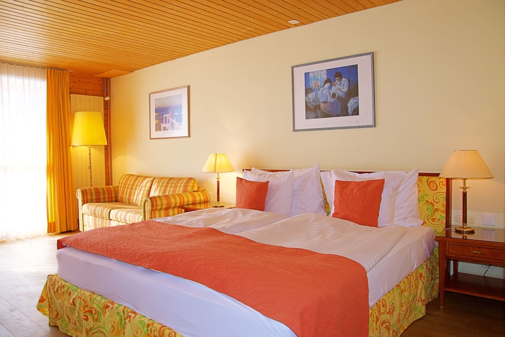 Family Room (Jungfrau View) - Photo 5