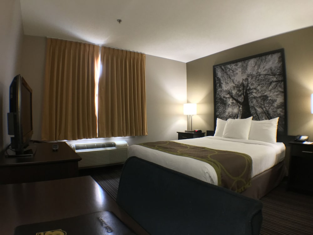 Suite, 1 King bed with Bunk Beds photo 3