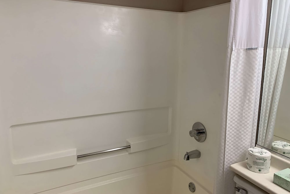 Studio Suite, Multiple Beds, Non Smoking photo 3