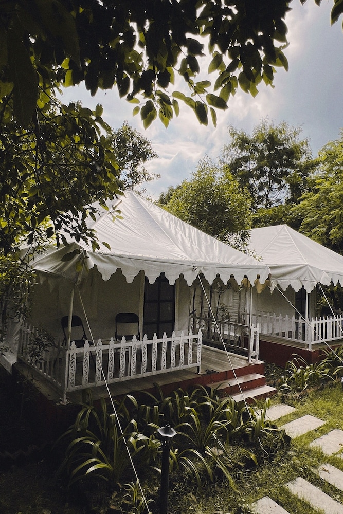 Classic Tent photo 2