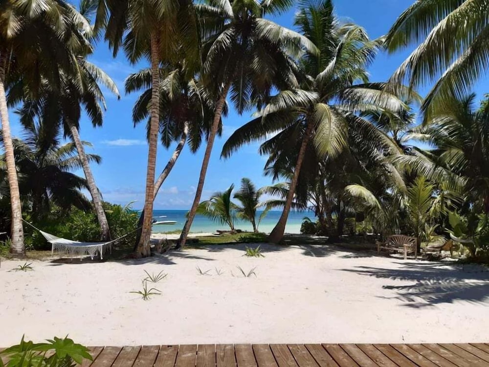 Superior Double Room, 1 Bedroom, Ocean View, Beachfront photo 2