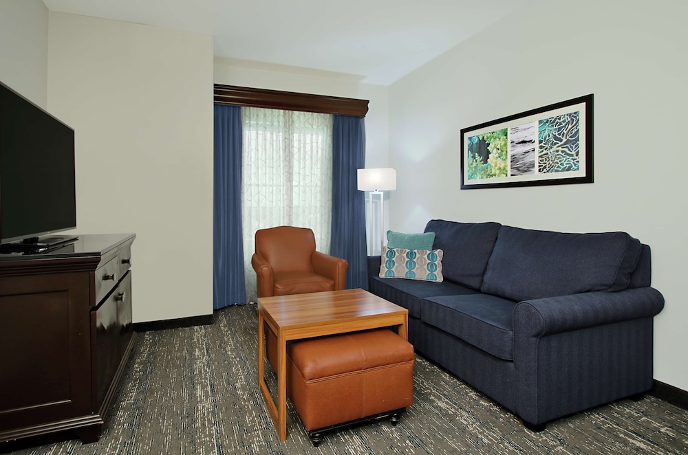 Studio, 1 King Bed, Accessible (Mobility & Hearing, Roll-in Shower) - Photo 14