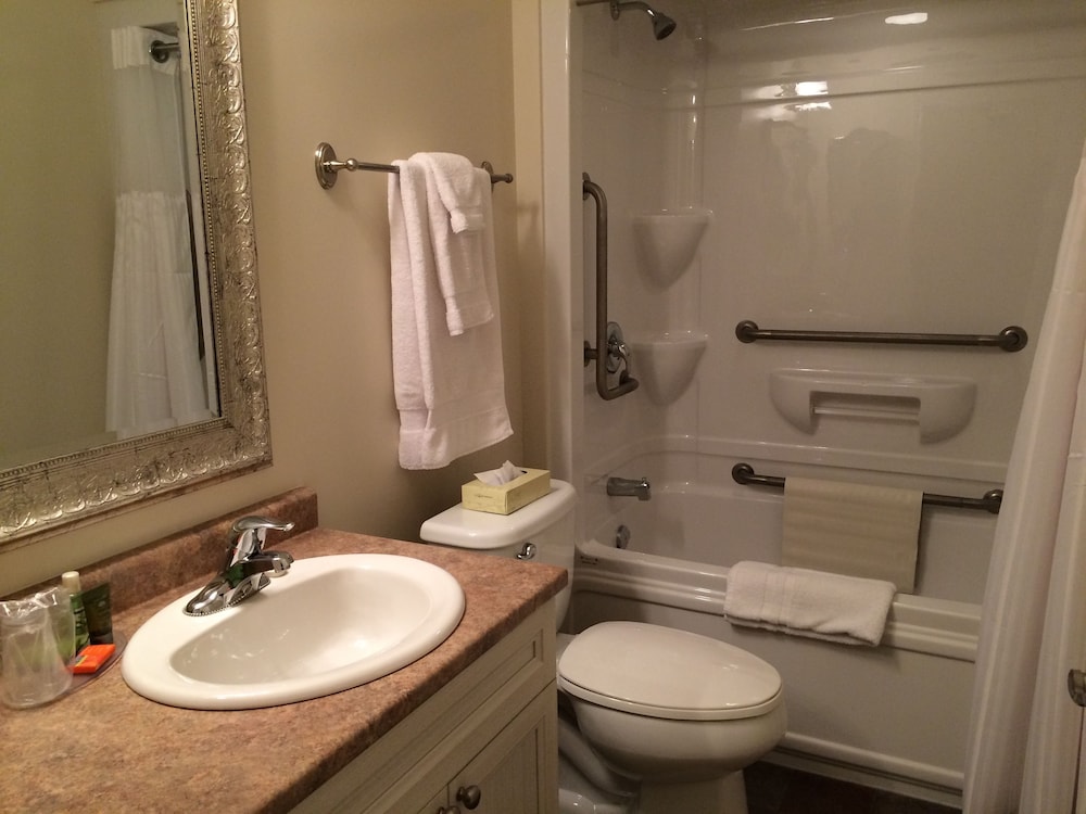 Executive Suite, 1 King Bed photo 2