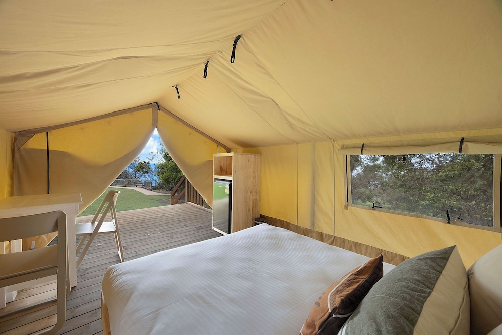 Junior Safari Tent - No Bathroom photo 3