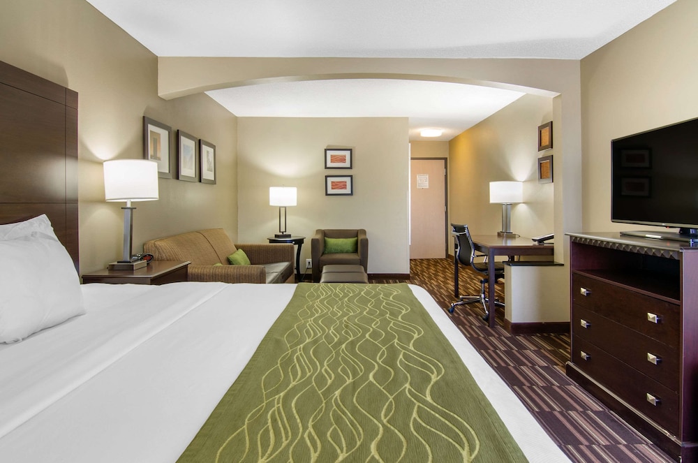 Suite, 1 King Bed with Sofa bed, Non Smoking - Photo 4