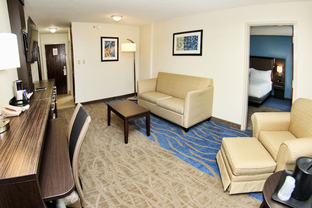 Suite, 1 King Bed - Photo 1