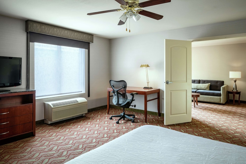 Suite - Photo 1
