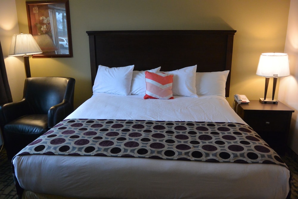 Room, 1 King Bed, Non Smoking (Efficiency) photo 2
