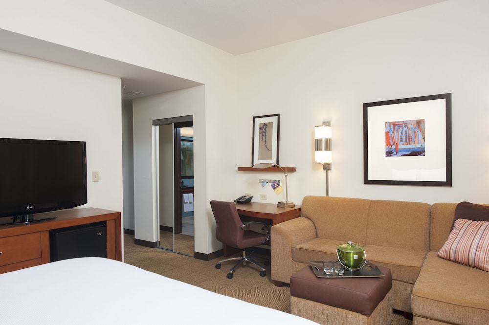 Room, 1 King Bed, Accessible (With Sofa bed, Shower/Tub) - Photo 3