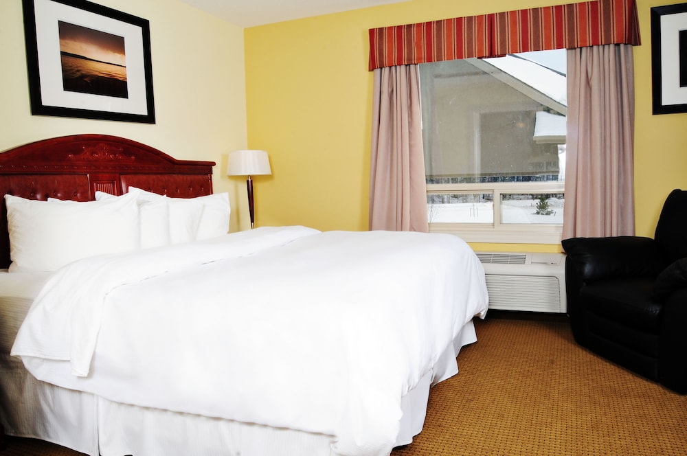 Suite, 1 Bedroom, Kitchenette photo 3