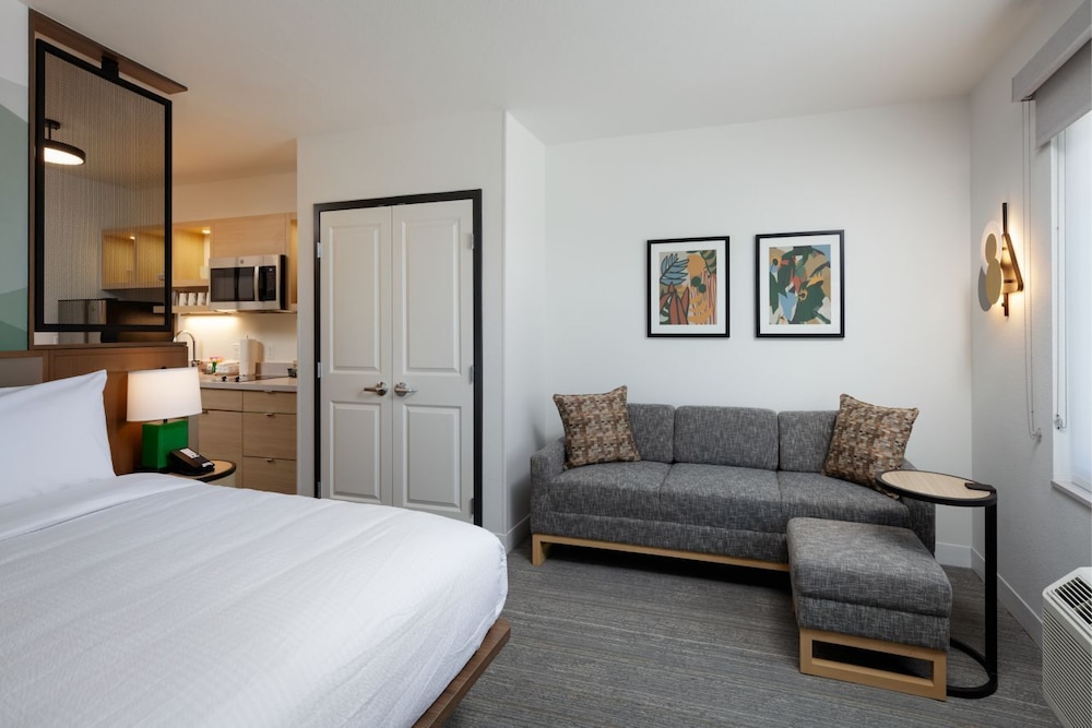 Studio, 1 King Bed with Sofa bed