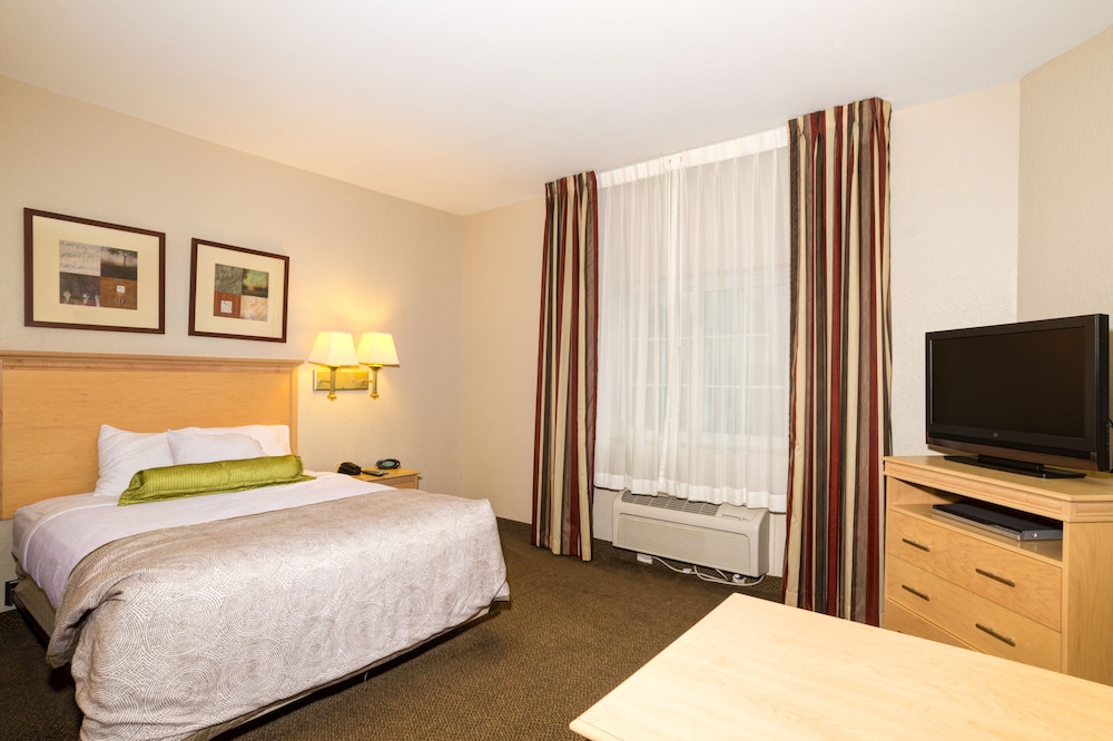 Studio Suite, 1 Queen Bed - Photo 4