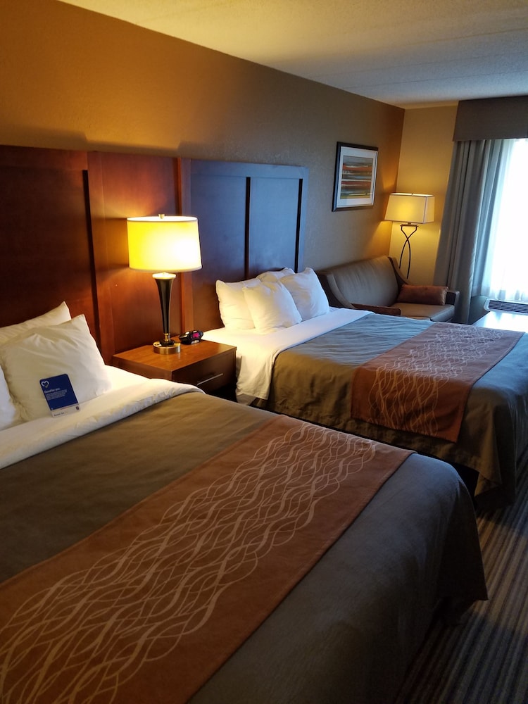 Standard Room, Multiple Beds, Non Smoking - Photo 3