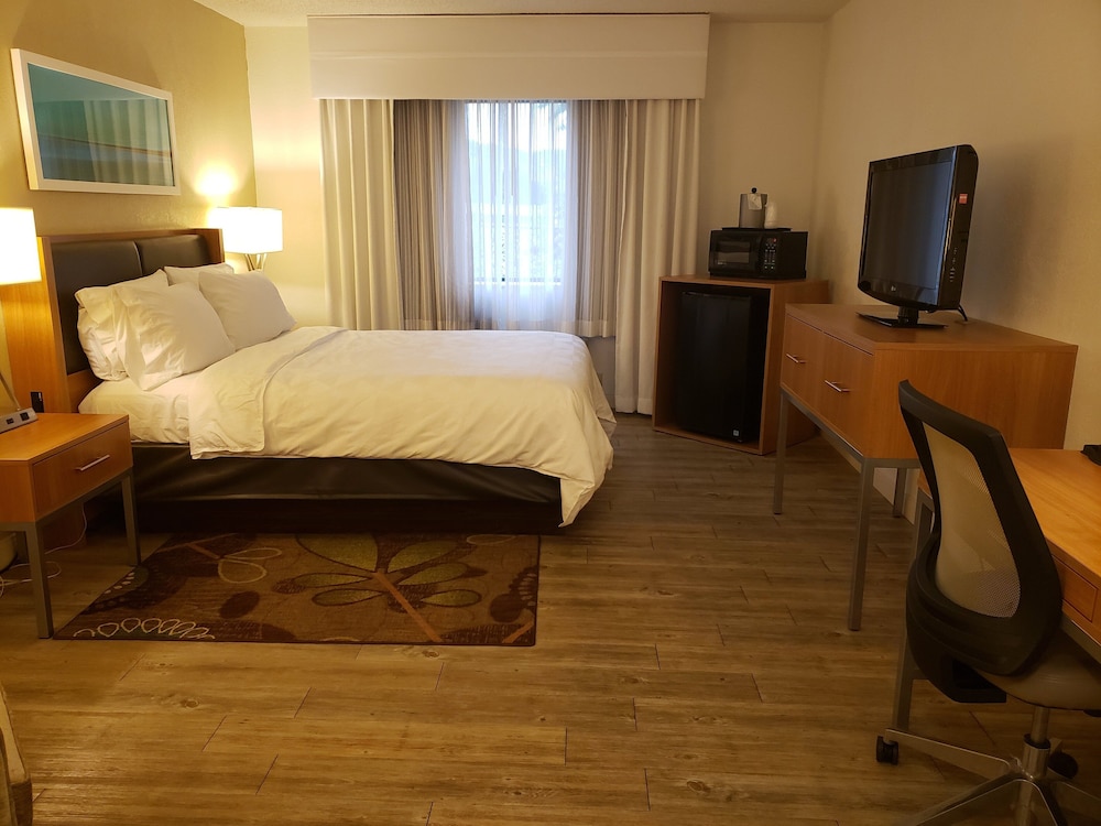Standard Room, 1 Queen Bed, Accessible, Bathtub (Mobility) - Photo 8