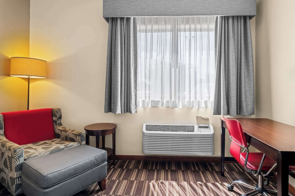 Standard Room, 1 Queen Bed, Accessible, Refrigerator & Microwave - Photo 3