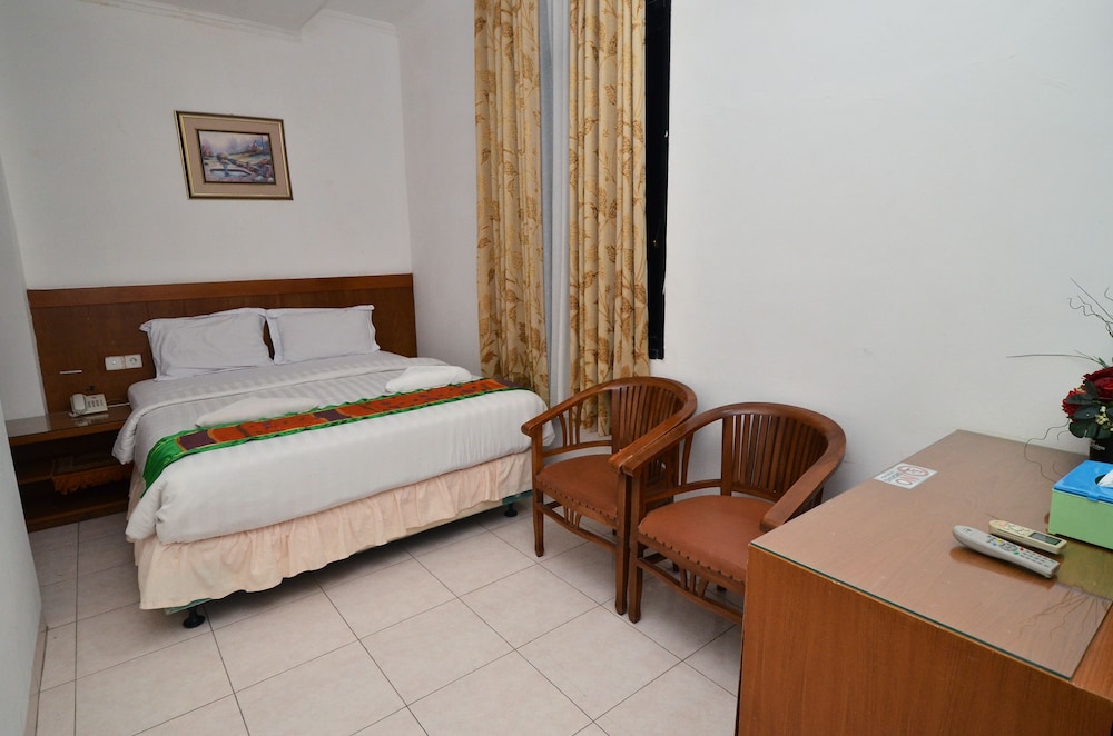 Deluxe Double or Twin Room