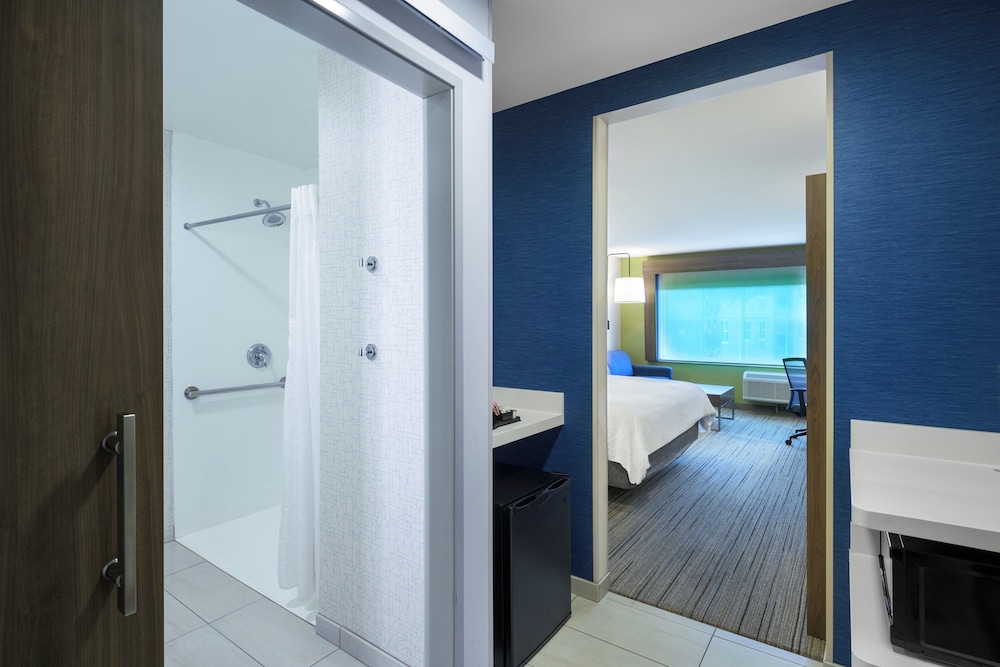 Suite, 1 King Bed, Accessible (Mobility, Roll-In Shower) - Photo 1