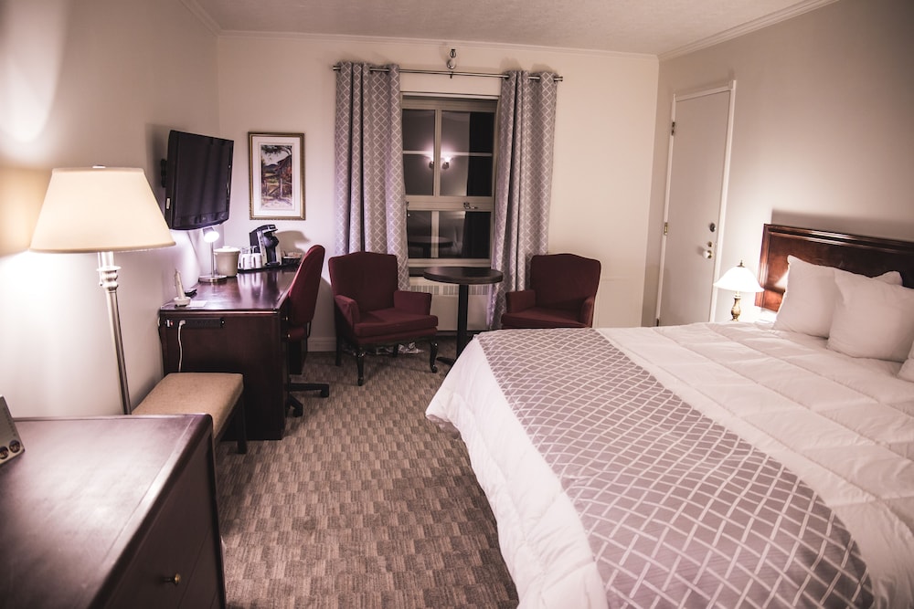 Executive Room, 1 King Bed, City View photo 1