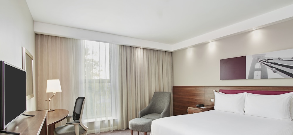 Room, 1 Queen Bed with Sofa bed photo 2