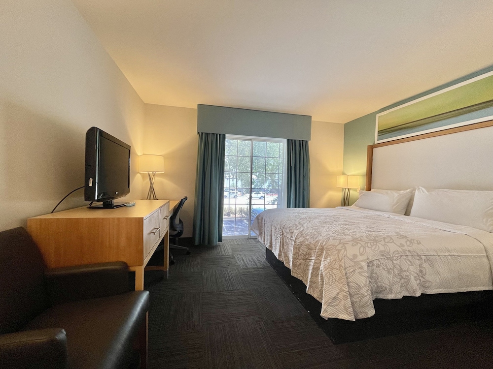 Superior Suite, 1 King Bed (Smoke Free) - Photo 1