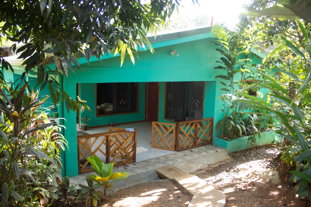 Casita Cecropia vista al Bosque photo 2