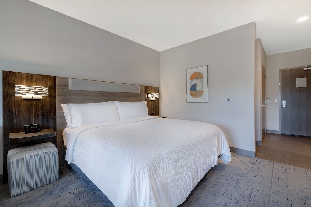 Suite, 1 King Bed photo 3
