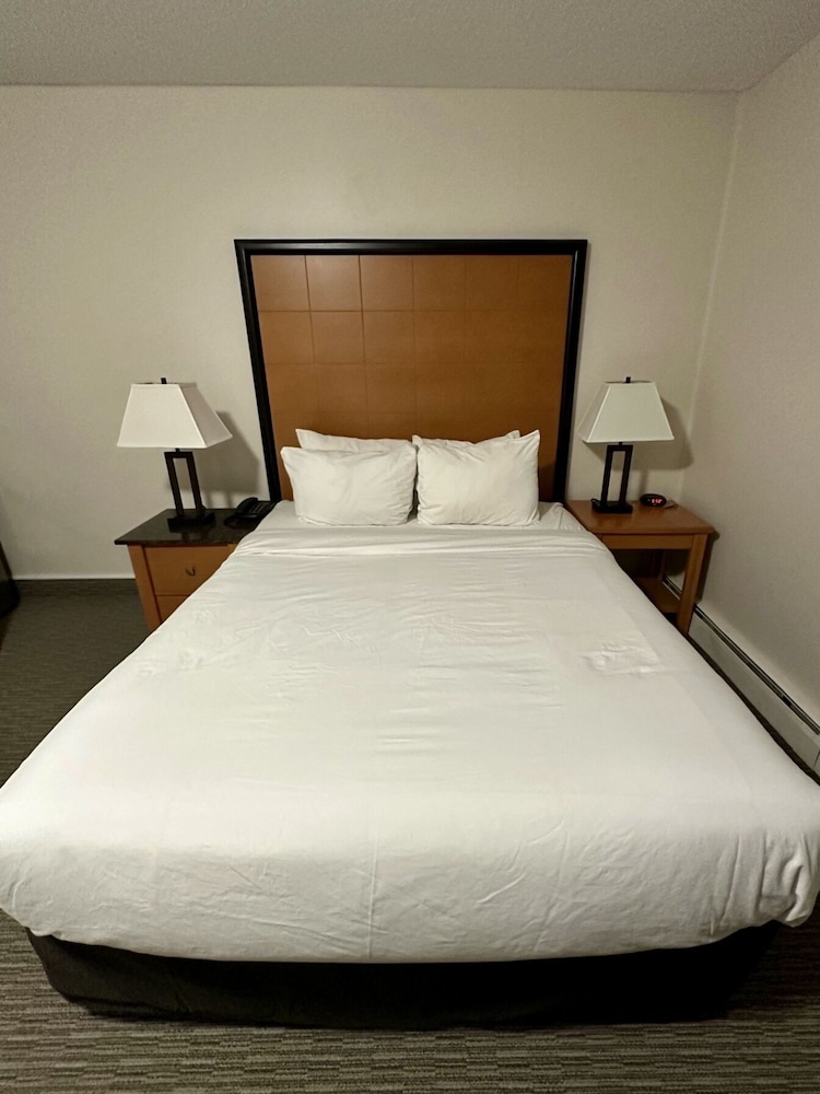 Deluxe Single Room, 1 King Bed - Standard King Room photo 3