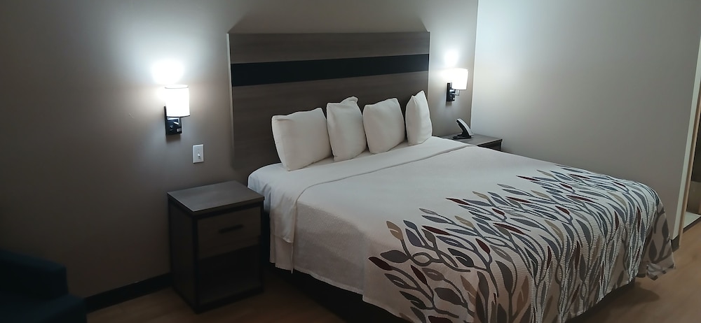 Deluxe Room, 1 King Bed, Accessible, Non Smoking photo 1