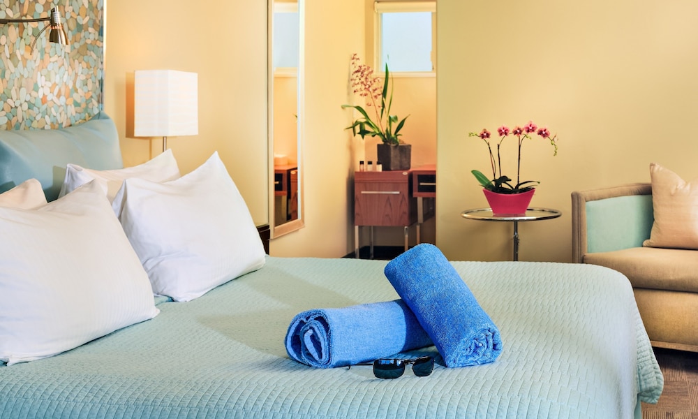 Studio Suite, 1 King Bed, Kitchen photo 2