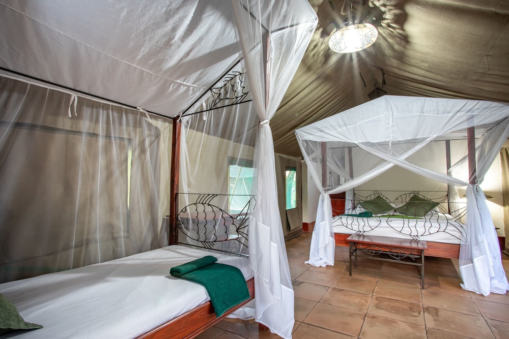 Basic Tent photo 1