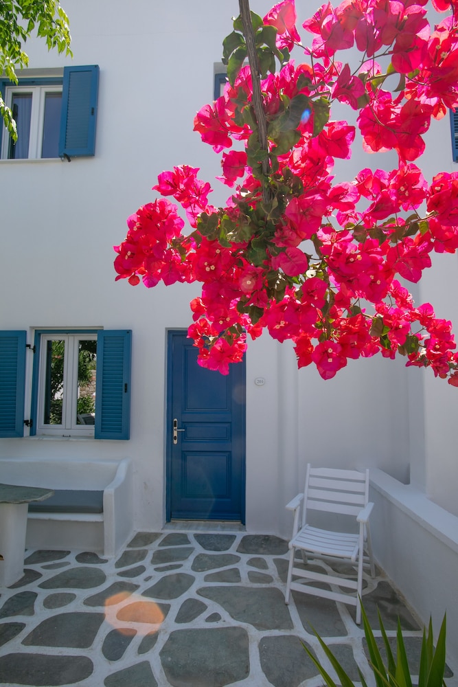 Deluxe Double or Twin Room, Garden View - Photo 7