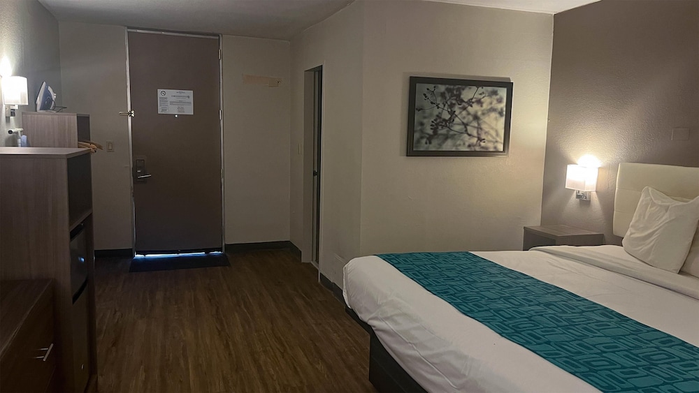 Standard Room, 1 King Bed, Non Smoking photo 1