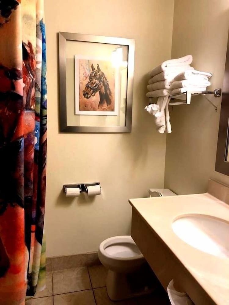 Classic Suite, 1 King Bed - Photo 4