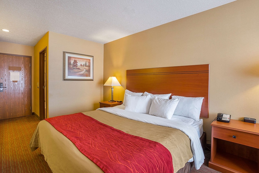 Standard Room, 1 King Bed, Non Smoking - Photo 1