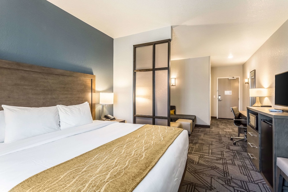 Suite, 1 King Bed with Sofa bed, Accessible, Non Smoking photo 1