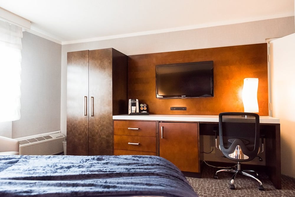Suite, 1 King Bed photo 3