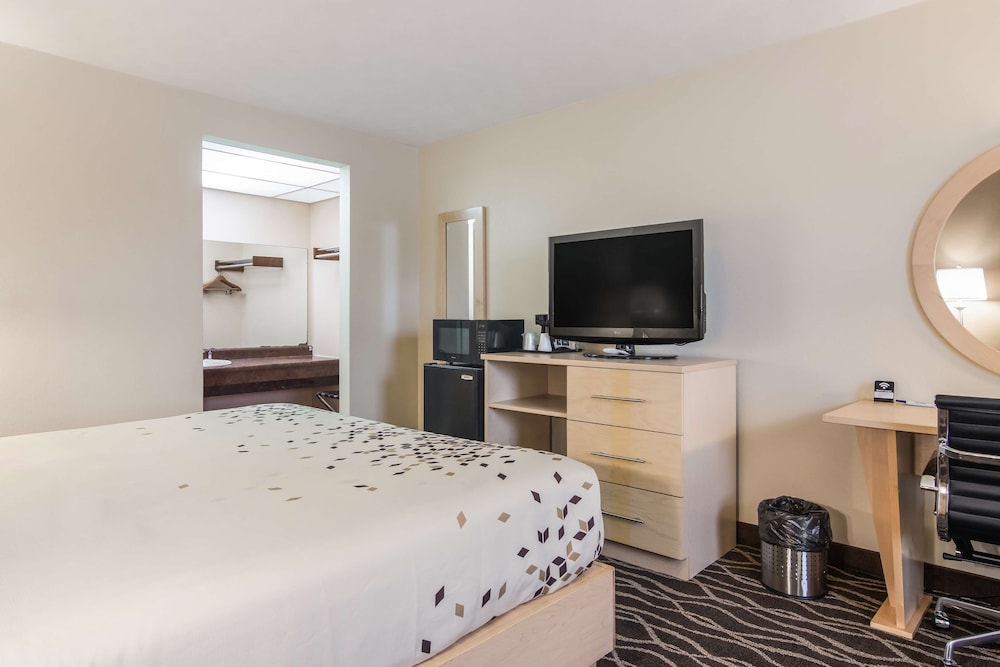 Room, 1 King Bed, Non Smoking - Photo 1