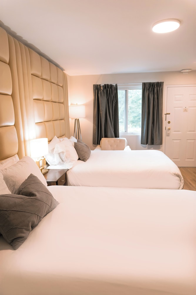 Two Double Beds + Kitchen photo 3