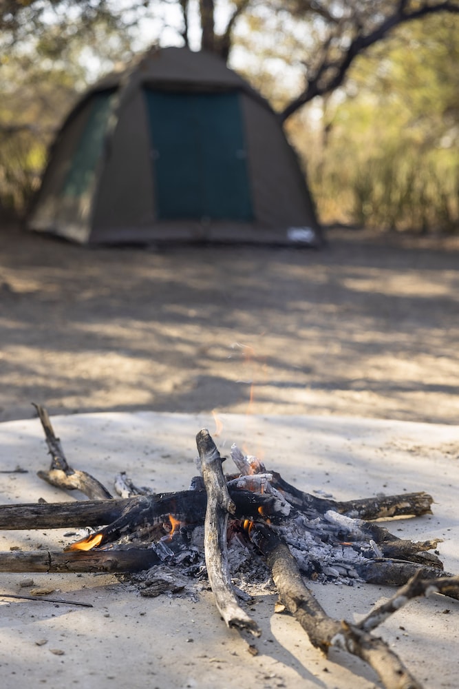 Basic Tent photo 2