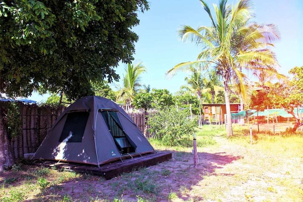 Pre-pitched tent photo 2